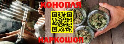 крисы Лесосибирск