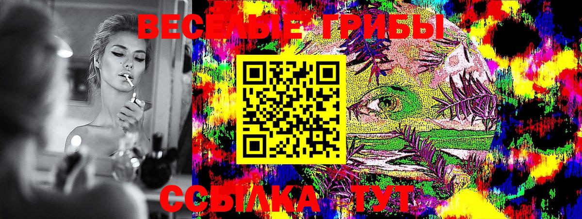 Псилоцибиновые грибы ЛСД Троицк