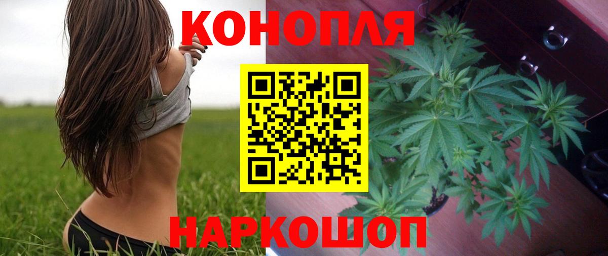 Бошки Шишки конопля  Вход с VPN  Канабис индика  Конопля MAZAR  Марихуана конопля  Троицк 